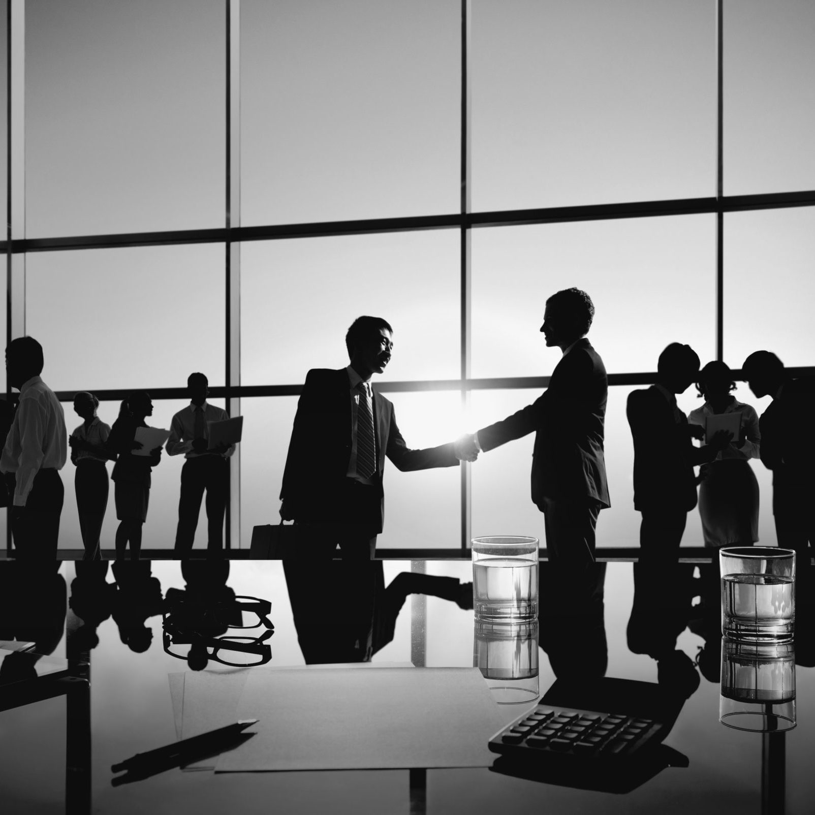 Two Businessmen Handshaking Together with Their Colleagues